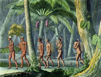 Puris in their Forest, from 